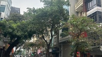 Bán nhà KBT 4.5 tầng phố Phan Kế Bính MB: 100m²