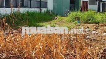 Đất full thổ ở ubnd xã Mỹ Lộc 98m2 giá còn 580tr