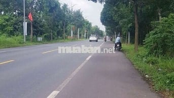 bán đất xưởng,kho bãi đường võ văn kiệt,sông xoài ,dt:4430 giá 17ty