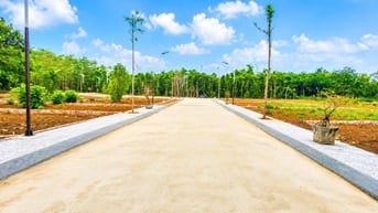Đất Biển Giá Rẻ Tại Cửa Tùng – Chỉ Từ 3xx Triệu