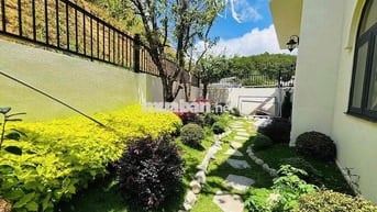 Tìm chủ nhân cho căn villa sân vườn đường an sơn phường 4
