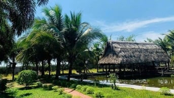 🔥ĐẤT THỔ CƯ - THỔ VƯỜN TP ĐỒNG NAI 980TR SỔ RIÊNG THỔ CƯ ĐƯỜNG Ô TÔ🔥