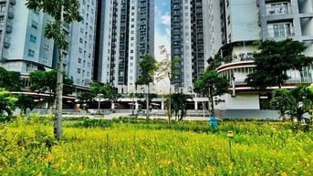 Giỏ hàng cho thuê Conic Riverside 1pn & 2pn