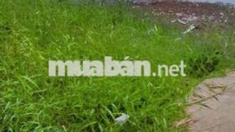 Đất thổ cư 123m2 Gần ủy ban xã Mỹ Lộc giá 380 triệu/ tl nhẹ