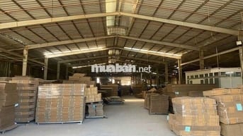Xưởng 3500m có PCCC Tự Động Nghiệm Thu