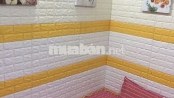 Đại học Kinh Tế HCM UEH Chung cư Nguyễn Tri Phương Sinh viên Văn phòng