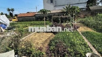 Bán đất Thư Lâm mới ngay cạnh kcn Thư Lâm 