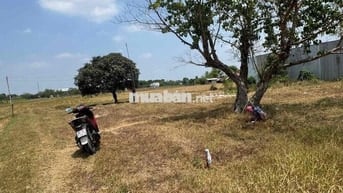 Chính chủ cần bán lô đất 141m đường xe hơi tới chổ thuộc hoà khánh đôg