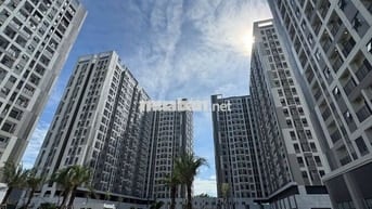 Bán căn góc Vega Homes 2 ngủ 2 vệ sinh dòng tiền 12tr/ tháng