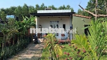Chính chủ cần bán nhà vườn 330m2