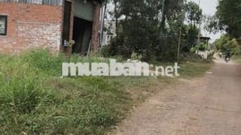 Chính Chủ Cần Bán Gấp Đất Mặt Tiền Giồng Lớn, Mỹ Hạnh Nam, Long An