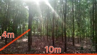 Công ty Đấu giá hợp danh Lam Sơn Sài Gòn thông báo đấu giá tài sản