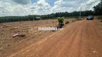 Ngộp mùa Banh bán nhanh sào ngang 18m rào kiên cố giá chỉ: 850tr ( TL)