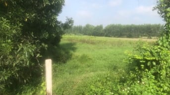 Bán gấp 3000m2 đường nhựa giá 9 tỷ 