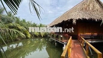 Đất vườn cây ăn trái Lê Văn Lương -Nhà Bè. Sổ hồng riêng, hỗ trợ bank.