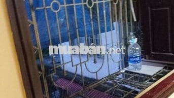 cho thuê phòng tầng 3 thoáng mát vệ sinh khép kín, sát Hồ Thành công