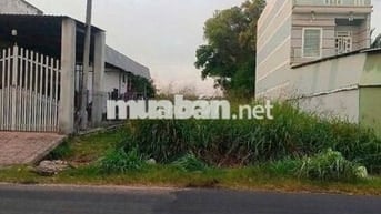BÁN ĐẤT ĐẸP GẦN CHỢ TRỪ VĂN THỐ 560m2/780tr HỢP ĐẦU TƯ KINH DOANH SHR