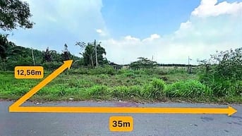 Công ty Đấu giá hợp danh Lam Sơn Sài Gòn thông báo đấu giá tài sản