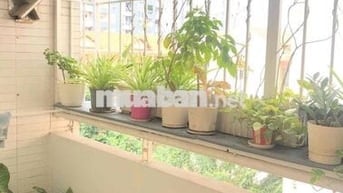 Cho thuê căn hộ chung cư Bàu cát 2