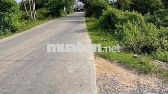 Bán nhà giá rẻ tại cần giuộc,long an 250 triệu