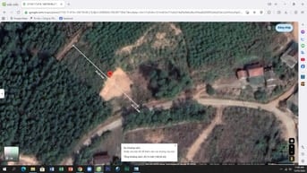 Do khó khăn, tôi cần bán đất lâm nghiệp đã san gạt 1/3 diện tích 