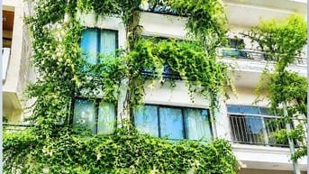 Chính chủ cho thuê  làm văn phòng tại tầng 3 (nhà 7T có thang máy )