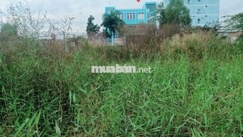 Bán Đất Tân Túc Bình Chánh 274m² - Ngang 6m Hiếm Có - Thổ Cư 6x20m 