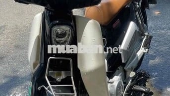 Honda Cub 2024 Đen, Trắng
