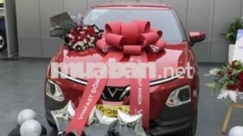 VinFast VF5 Plus 2025 Điện 42000 km Đỏ