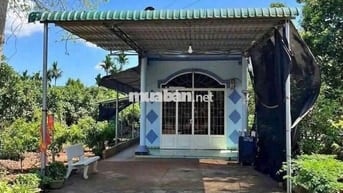 Bán lỗ miếng nhà vườn Bình Phước
