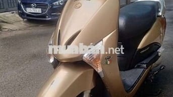 Honda Lead 2010 Vàng đồng