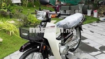 Super Dream 2013 rin cọp odo 6900km
