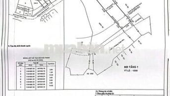 Cần Bán nhà 88 đường Hoàng Xuân Nhị-phú trung-tân phú-tp Hồ Chí Minh