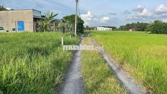 Xả lỗ lô đất 5x25 Hoà Khánh Đông 600 Triệu
