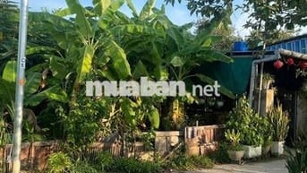 Lô đất quy chủ ngang 6m k264 hoàng văn thái chính chủ