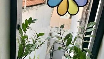 Tìm nữ ở ghép dễ thương (ờ từ tháng 8)