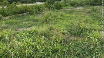 🏡 BÁN ĐẤT THỔ CƯ PHƯỜNG KIM DINH - TP. BÀ RỊA 🏡
