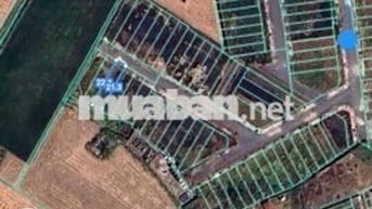 Chính chủ bán lô đất 115m2 đường số 19 KDC 5 Năm Hiệp, Quốc Lộ 50