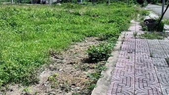 🏡 BÁN ĐẤT THỔ CƯ PHƯỜNG KIM DINH - TP. BÀ RỊA 🏡