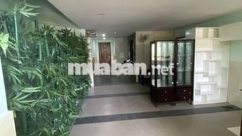 CHDV 3.6x26.5m, 6 tầng, MT Hồ Thành Biên, P.4, Q.8