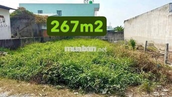Bán đất 267m2(45m2 thổ) giá 800 trung tâm trảng Bàng sổ hồng riêng