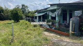 Bán gấp đất 200m2 thổ cư 650triệu đường Hoà Hưng 3 Phường Trảng Bàng