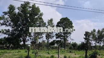 tôi bán gấp đất 120m2, giá 600 triệu ở đường Chùa Đá phường Trảng Bàng