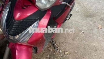 Honda SH 125 2024 màu Hồng