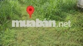 ĐẤT THỔ CƯ MẶT TIỀN HUYỆN LỘ 19 - GÒ CÔNG, TIỀN GIANG