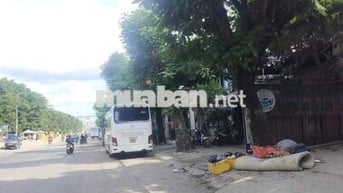Cho thuê mặt bằng kinh doanh Đặng Thùy Trâm. Bình Thạnh   200m2