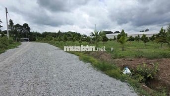 Chủ Cần tiền Bán Gấp lô đất thổ cư 250m giá 350