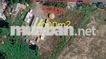 Cho thuê 4000m2 đất mặt tiền gần tt hội nghị triển lãm,chợ Bến Cát