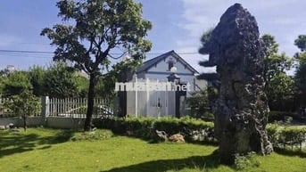 Chủ chơi wolrd cup bể nợ bán căn nhà vườn 1000m2 có 100m2 thổ cư