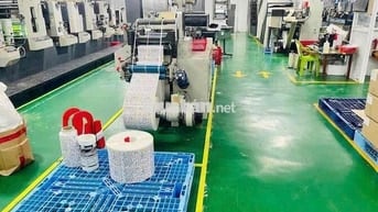 CHO THUÊ XƯỞNG THỚI AN GIÁ TỐT
